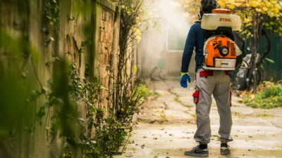 DEZINSECȚIE ÎN NOAPTEA DE miercuri spre joi , 4-5 iunie 2025 – Primaria Municipiului Sacele